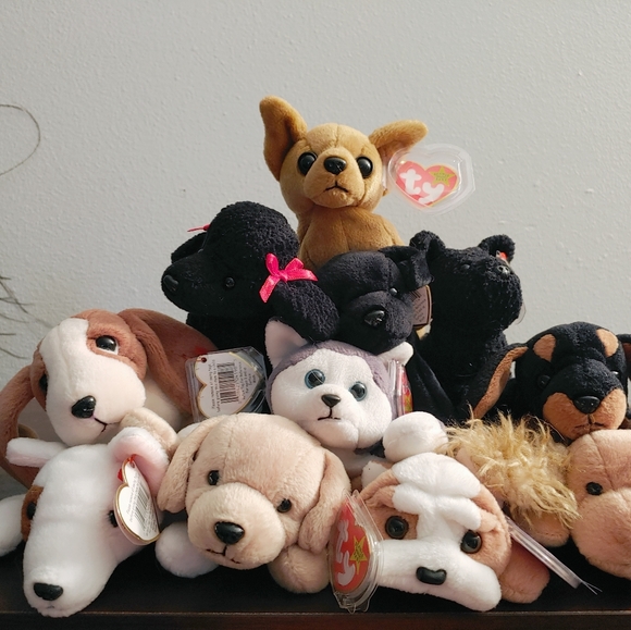 TY Beanie Babies Dog Collection NWT- See Prices!! - Picture 5 of 5
